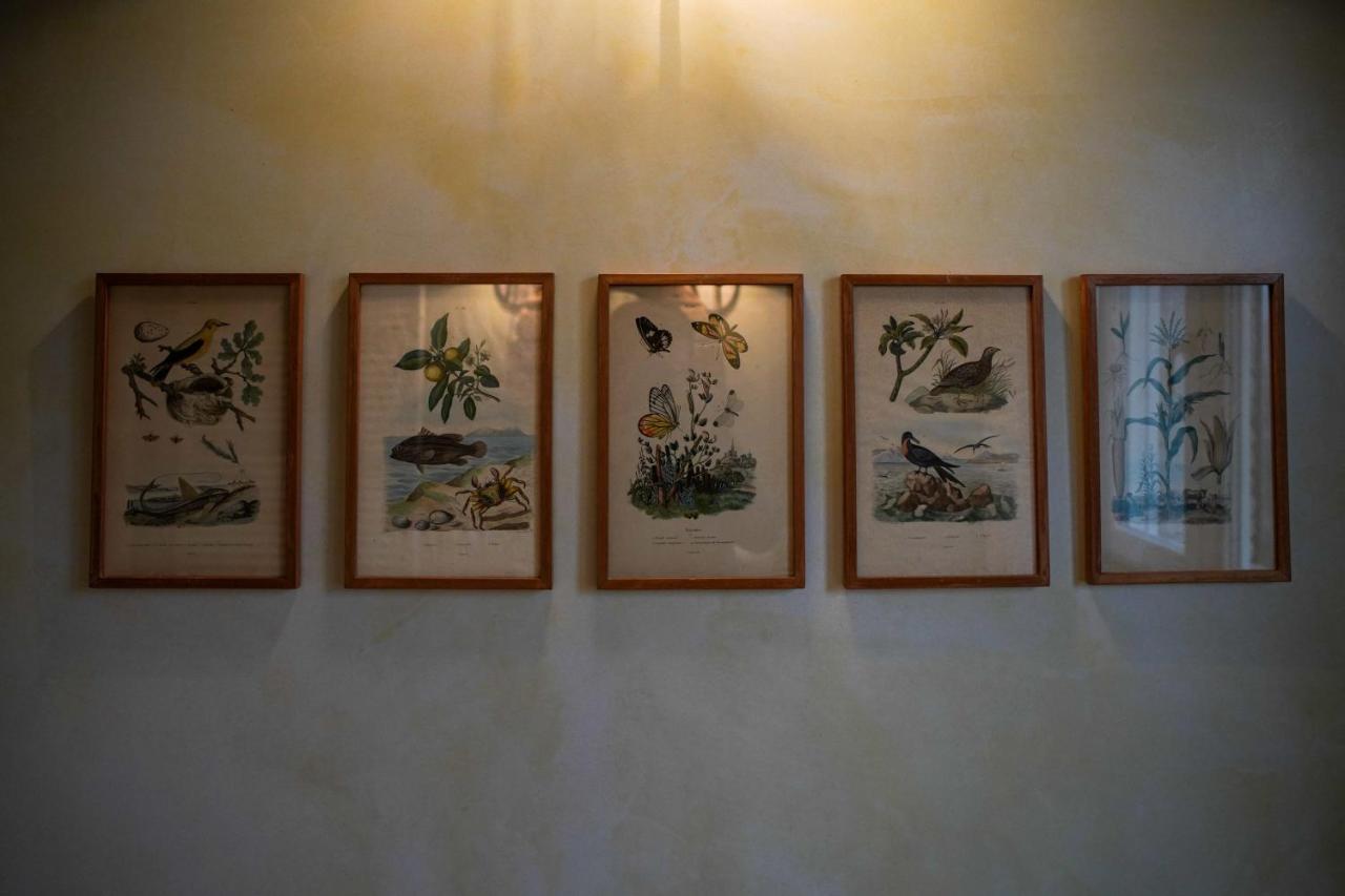 Parco Di Montebello Quattro Castella ภายนอก รูปภาพ
